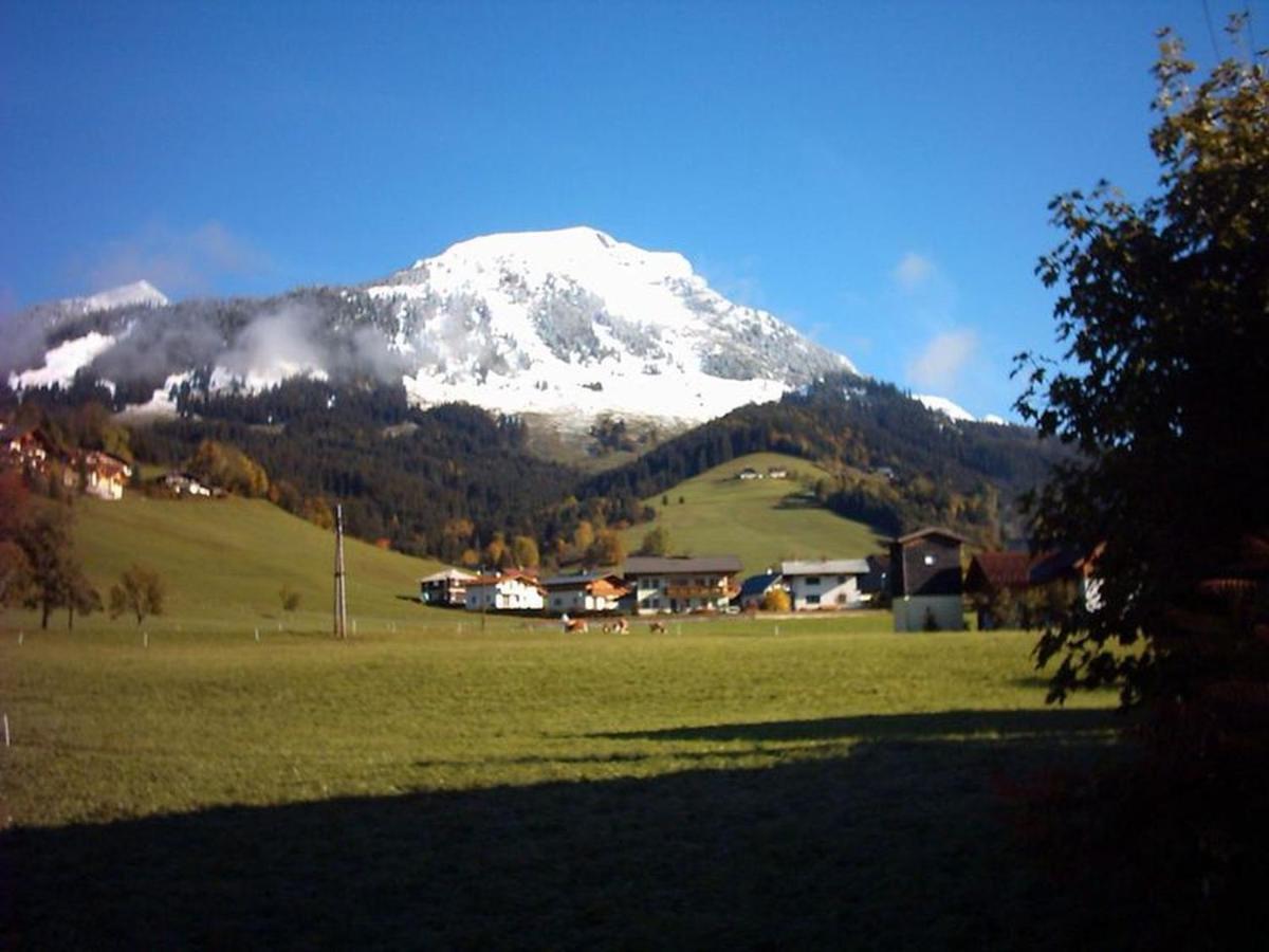 Haus Hornblick Apartman Russbach am Pass Gschütt Kültér fotó